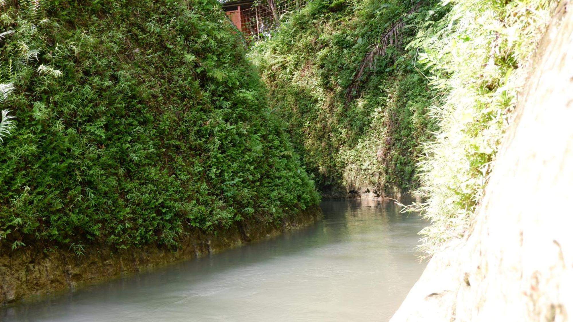 Hau Eco Lodges Citumang Pangandaran Extérieur photo
