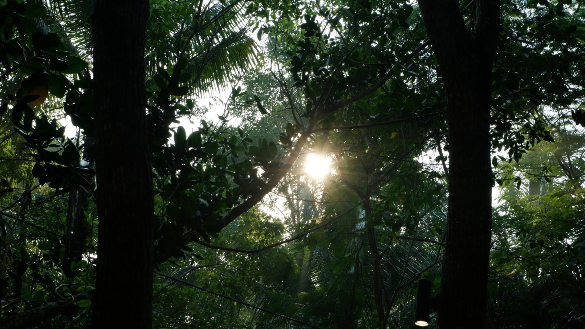 Hau Eco Lodges Citumang Pangandaran Extérieur photo